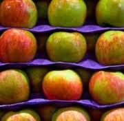 How To Preserve Apples?